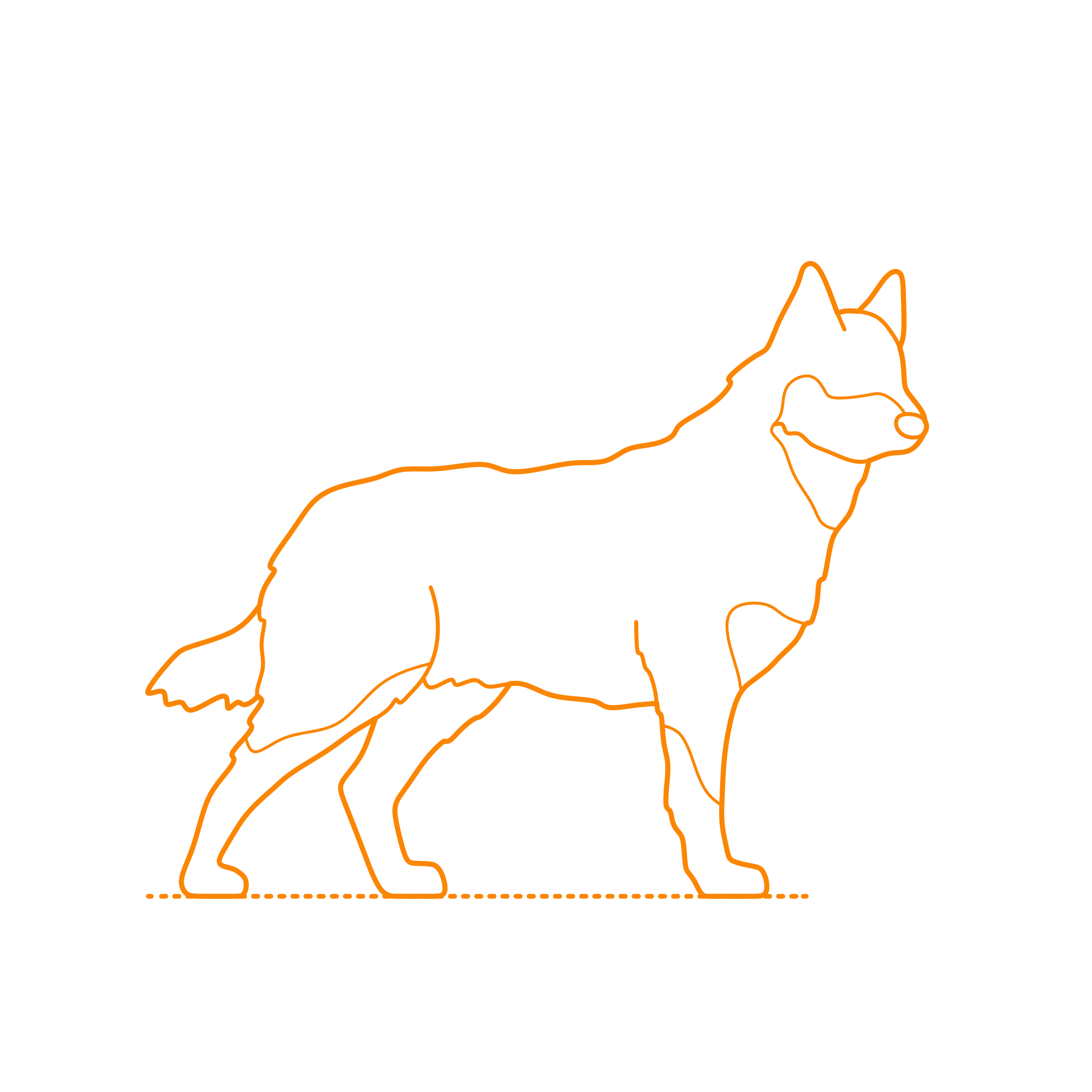 Animals Dogs Lapponian Herder Tracing Svg Vector Free Vectors
